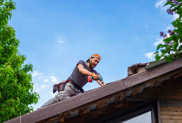 Best Steel Roofing  in Zion, PA